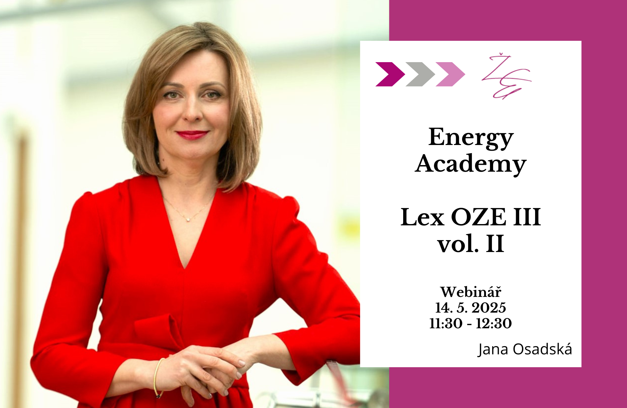 Energy Academy: LEX OZE III vol. II