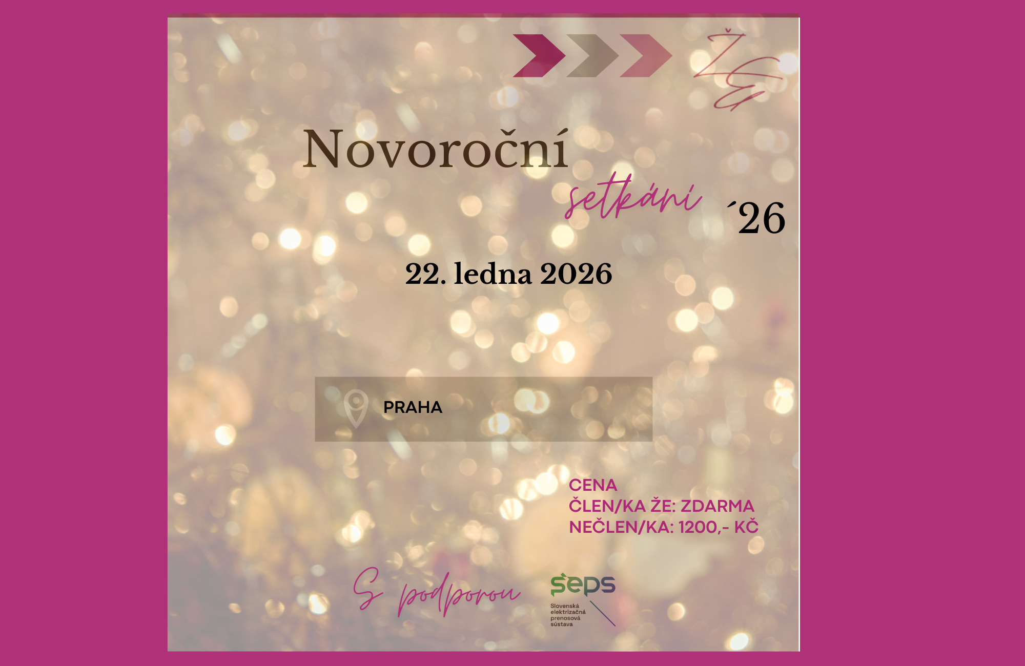 ŽEgrid&ŽEgrow: Novoroční setkání v Praze