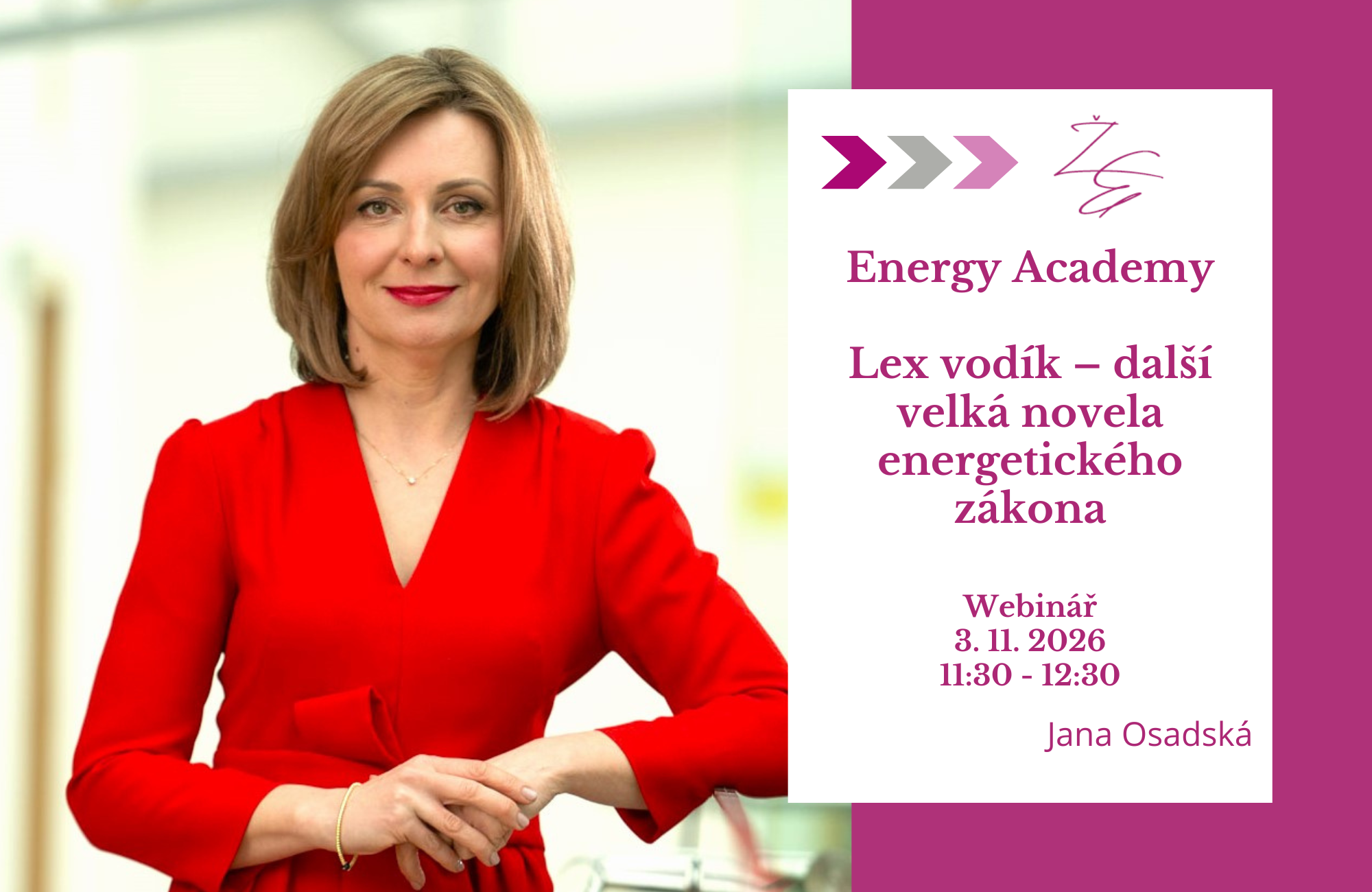 Energy Academy: Lex vodík – další velká novela energetického zákona